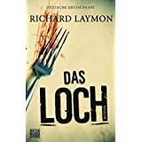 Das Loch: Roman