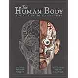 Walker, R: The Human Body: A Pop-Up Guide to Anatomy