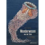 Wunderwesen aus der Tiefe. Ernst Haeckel: Das Pop-up-Buch