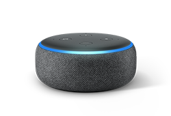 Echo Dot