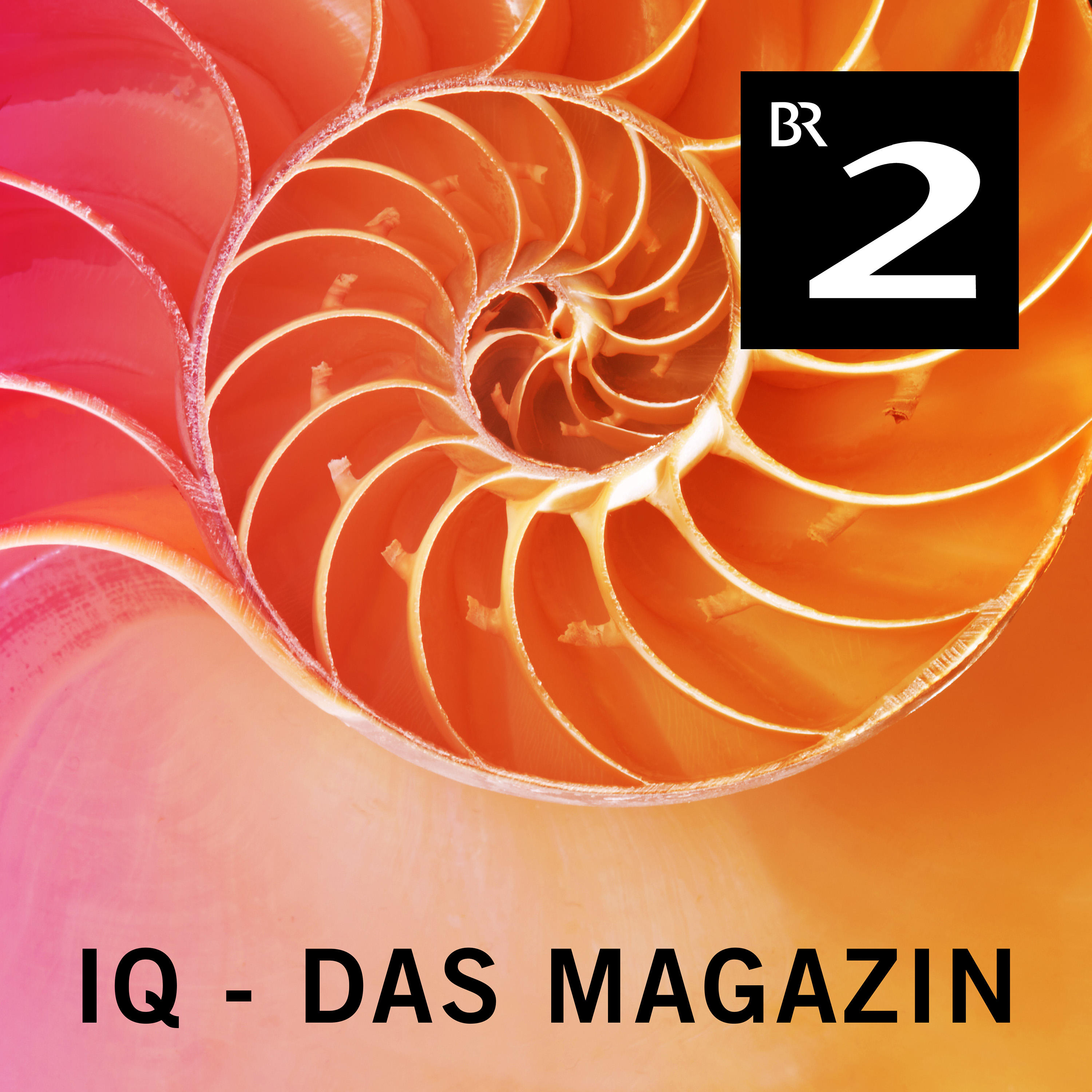 PodcastIQ - Das MagazinCover Podcast Cover