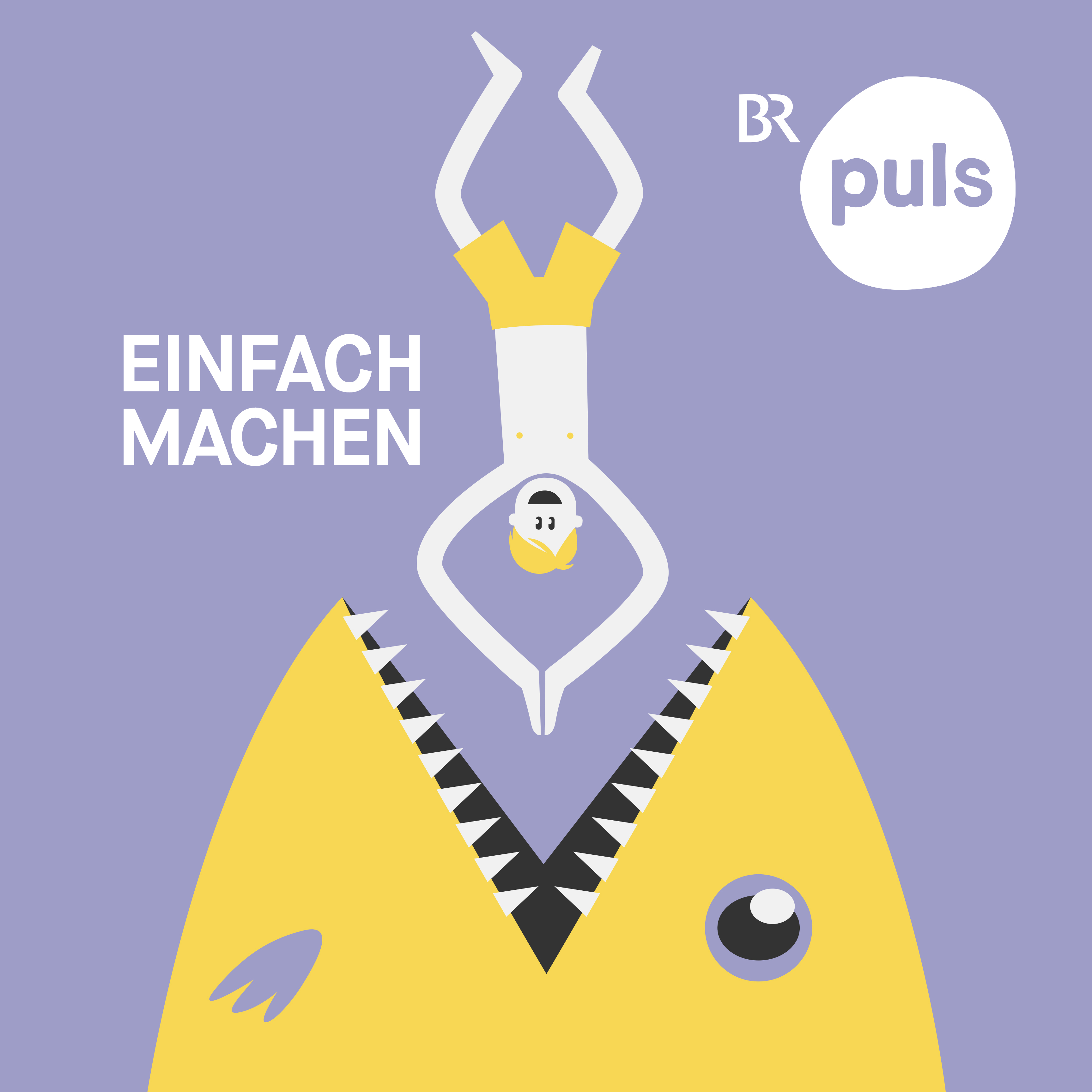 Podcast Cover Einfach machen | © 2017 Bayerischer Rundfunk Podcast Cover Einfach machen | © 2017 Bayerischer Rundfunk
