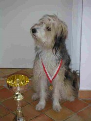 Brilli mit Medaille und Pokal