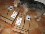 Brilli kontrolliert die eingegangene Lieferung