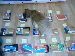 Zwetschke hilft bei der Bücherauswahl-1