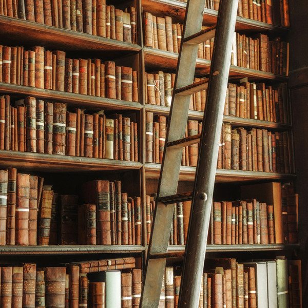 Bibliothek