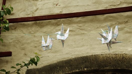 Titelbild für Birdz Folge 3