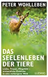 Titelbild