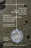 Titelbild