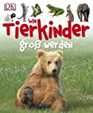 Titelbild