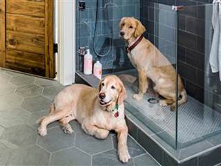 Dog showers are the latest home trend — and they're surprisingly practical