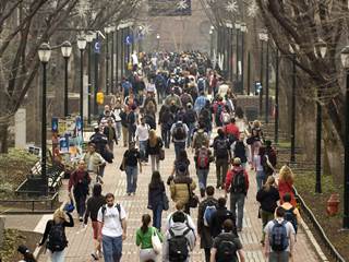 Sexual orientation top risk for suicidal thoughts in college freshmen, study finds