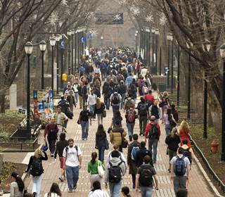 Sexual orientation top risk for suicidal thoughts in college freshmen, study finds