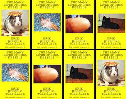 The Many Lives of Erik Kessels