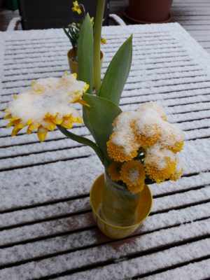 „endet denn der winter nie?“ *