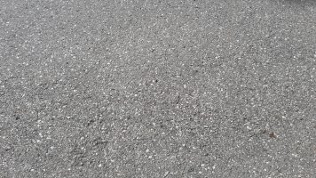 Asphalt-Träume
