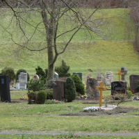 Romane über den Tod