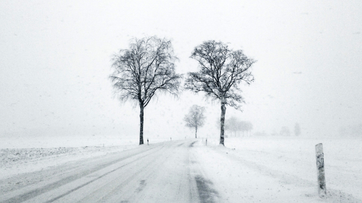 winter