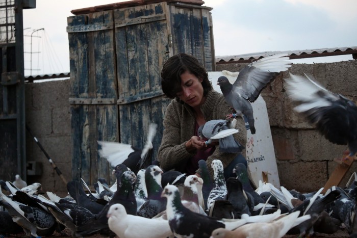 Filmszene aus "Güvercin: The Pigeon"