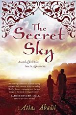 The Secret Sky