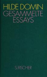 Gesammelte Essays