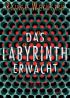 Das Labyrinth erwacht
