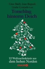 Totschlag hinterm Deich: 12 Weihnachtskrimis aus dem hohen Norden