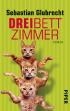 Dreibettzimmer: Roman