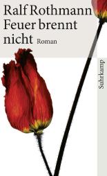 Feuer brennt nicht: Roman (suhrkamp taschenbuch)