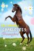 Charlottes Traumpferd, Band 3: Ein unerwarteter Besucher