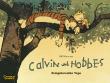 Calvin und Hobbes, Band 8: Ereignisreiche Tage