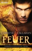Feuer - Verhängnisvolle Liebe: Feuer 4 - Roman