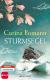 Sturmsegel
