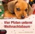 Vier Pfoten unterm Weihnachtsbaum