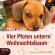 Vier Pfoten unterm Weihnachtsbaum