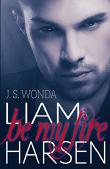 Liam Harsen: Be My Fire (Erotikroman) (German Edition)
