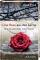 Eine Rose aus der Asche