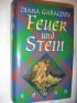 Feuer und Stein. Roman.