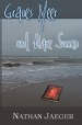 Graues Meer und blaue Sonnen