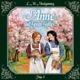 Jede Menge Missgeschicke (Anne auf Green Gables 3)