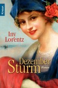 Dezembersturm: Roman