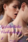 Gefährliche Verlockung - erotischer Liebesroman - Teil 1