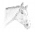 Saphir610