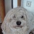 kuschelwuff2504
