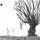 Aria_Buecher