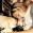 MissRichardParker