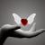 Jasmina1107