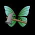 Zerschmetterling