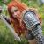 Cyfedia