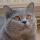 MademoiselleMeow